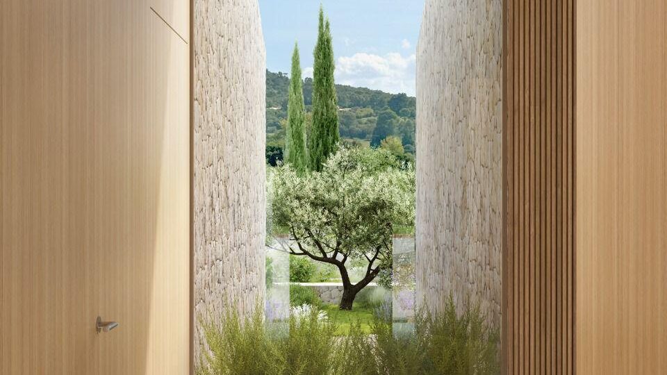 Interior patio with skylight and planting